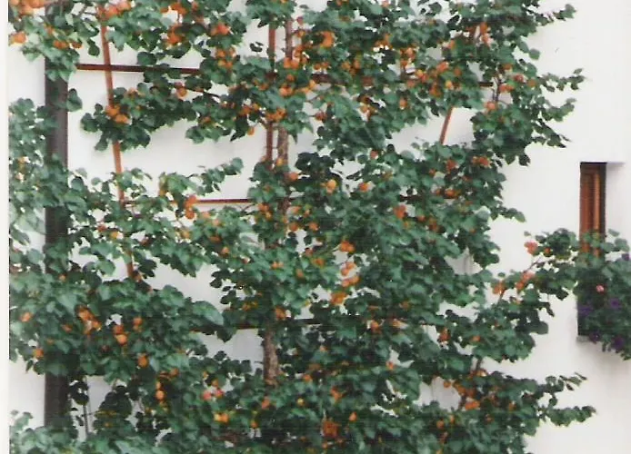 דירה Brigitta אינסברוק