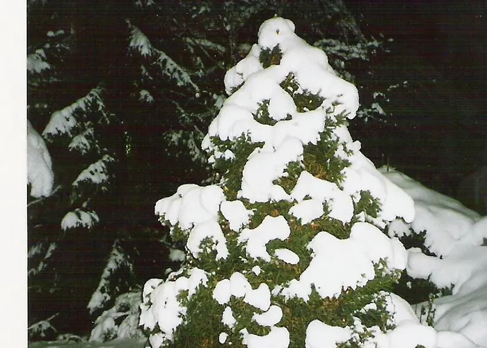 Brigitta דירה אינסברוק