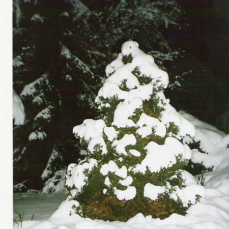 Brigitta Lejlighed Innsbruck
